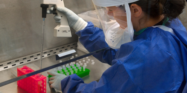 Ученые обнаружили кишечный белок, который ловит...