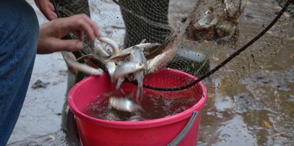 В Беломорском районе утвердили границы рыбоводн...