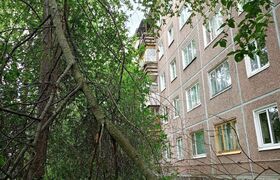 Жители Ключевой в Петрозаводске боятся, что гни...