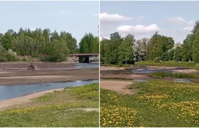 Французский пруд в Петрозаводске пересох — жите...