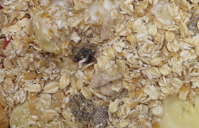 На 10% можно снизить «плохой» холестерин за два...