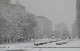 На Карелию 15 декабря обрушится сильная метель