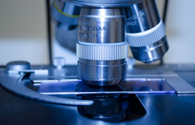 Ученые узнали, почему ВИЧ-инфицированные тяжеле...