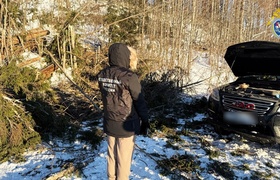 В Карелии дерево рухнуло на проезжавший по доро...