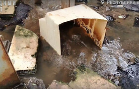 Экологическая катастрофа под Петрозаводском: фе...