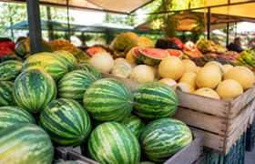 Красноярцам рассказали, как выбрать дыни и арбу...