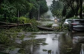 С улиц Ульяновска убрали поваленные ураганом де...