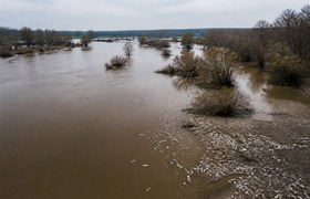 Росрыболовство объяснило гибель рыбы в Туре нех...