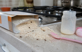 Рязанка нашла живых личинок в детской каше из с...