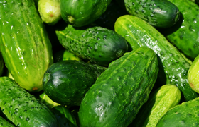 Рост цен на огурцы в России резко замедлился