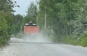Депутат Карелии заявила о «удушающей пыли» на п...