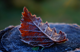 Пенсионер получил штраф за залетевший ему в рот...