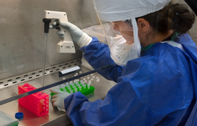 Ученые обнаружили, что клетки могут «чувствоват...