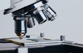 Ученые нашли «белок молодости», увеличивший жиз...