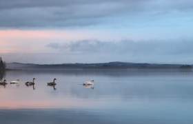 Карелия вошла в топ-5 регионов для загородного ...