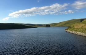 В Карелии обещают ликвидировать загрязнение Выг...