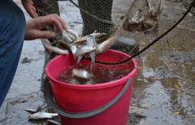 В Беломорском районе утвердили границы рыбоводн...